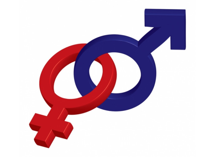 Maschile e femminile Maschile e femminile