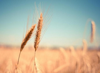 L’agricoltore, custode della terra