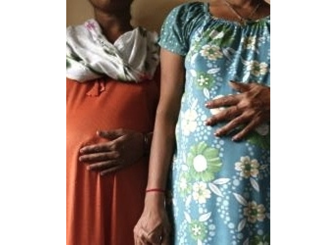 Bloccata la risoluzione del Consiglio d'Europa sull'utero in affitto Bloccata la risoluzione del Consiglio d'Europa sull'utero in affitto
