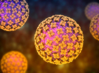 Hantavirus, la "profezia" di Gavi sulla prossima pandemia