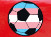 Corte Suprema, sì al divieto atleti trans
