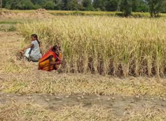Uccisa una donna cristiana in India