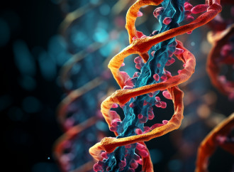 Preventive e le startup in cerca del bimbo perfetto: è eugenetica