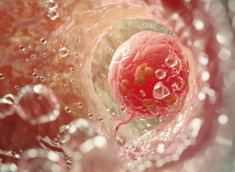 Embrioni come cellule, l’equazione dell’UE nega la biologia