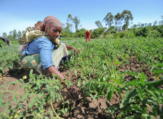 Kenya ridotto alla fame, anche per l'enorme spreco di cibo