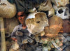 Così Pol Pot abolì la famiglia, imparando la lezione della Rivoluzione Francese