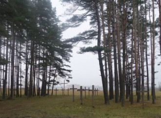 Kourapaty, la foresta delle croci a rischio distruzione