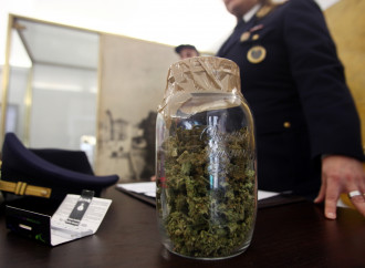 Cannabis sequestrata, il corto circuito del Governo