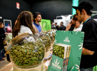 "Così ho mostrato a Salvini che la cannabis light fa male"