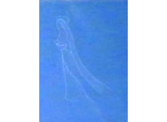 L'apparizione in cielo della Madonna L'apparizione in cielo della Madonna