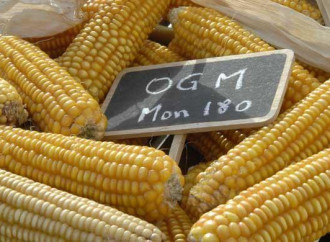 Bando OGM, Ue condanna l'Italia