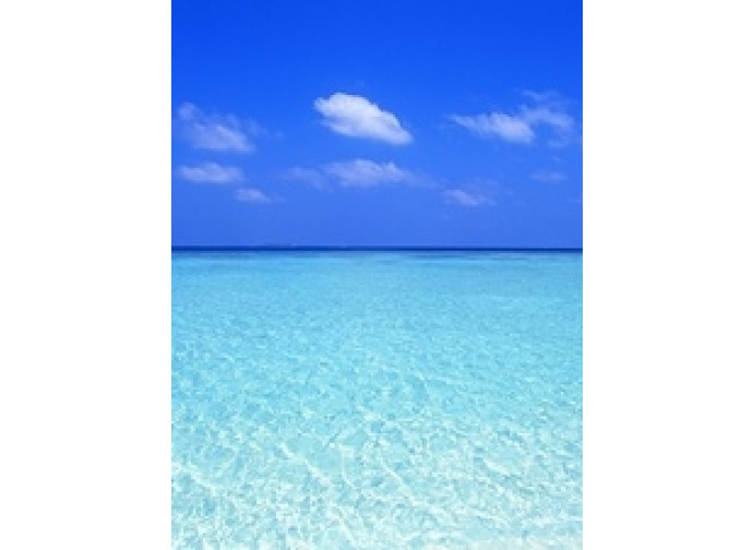 mare mare