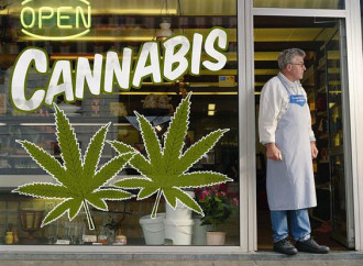 "Canna-business", cavallo di Troia della droga libera