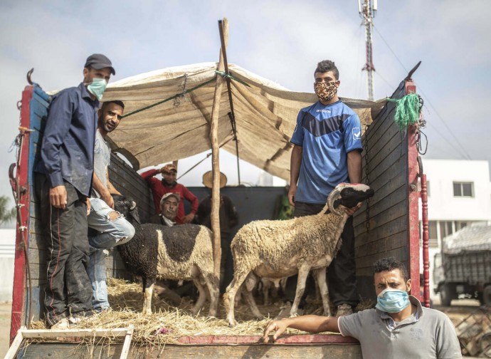 Marocco, preparativi per la festa del sacrificio