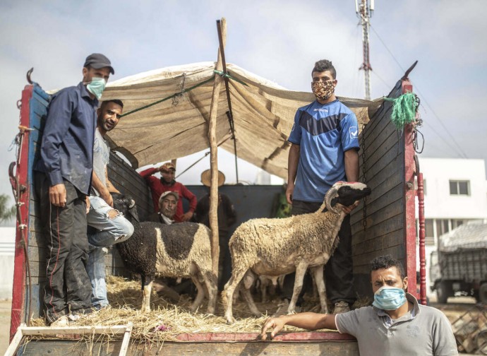 Marocco, preparativi per la festa del sacrificio Marocco, preparativi per la festa del sacrificio