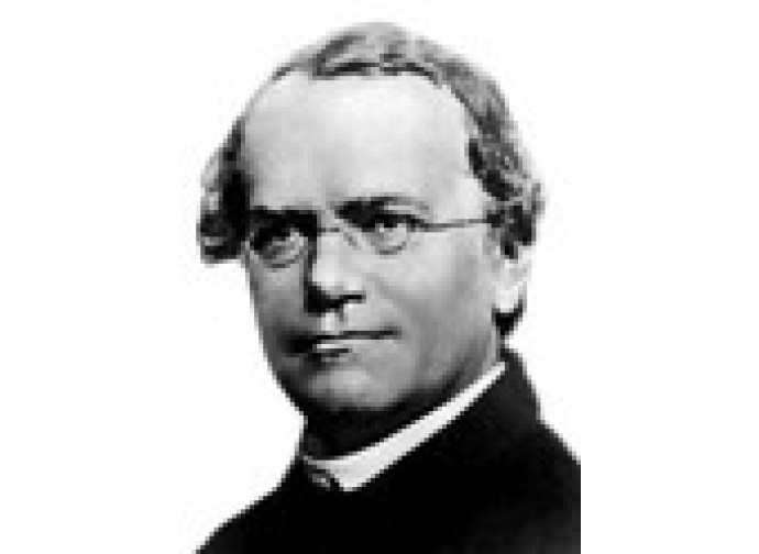 Gregor Mendel