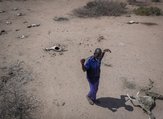 Africa alla fame, ma non si vogliono vedere le cause