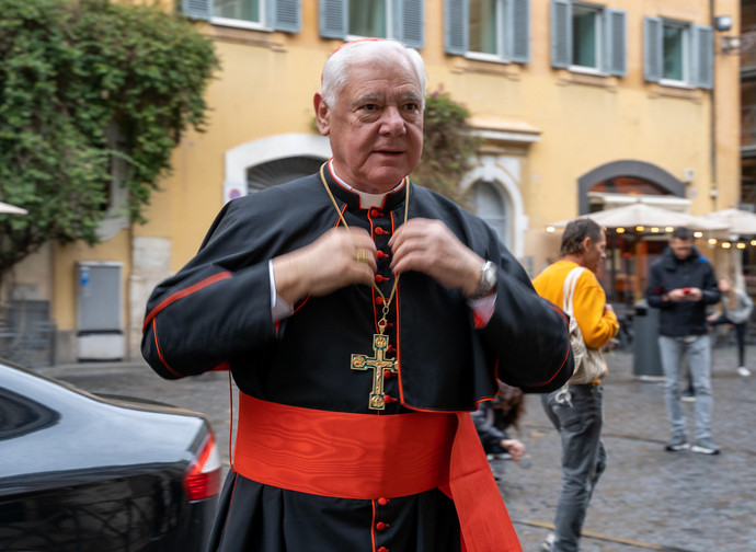 Il cardinale Muller Il cardinale Muller