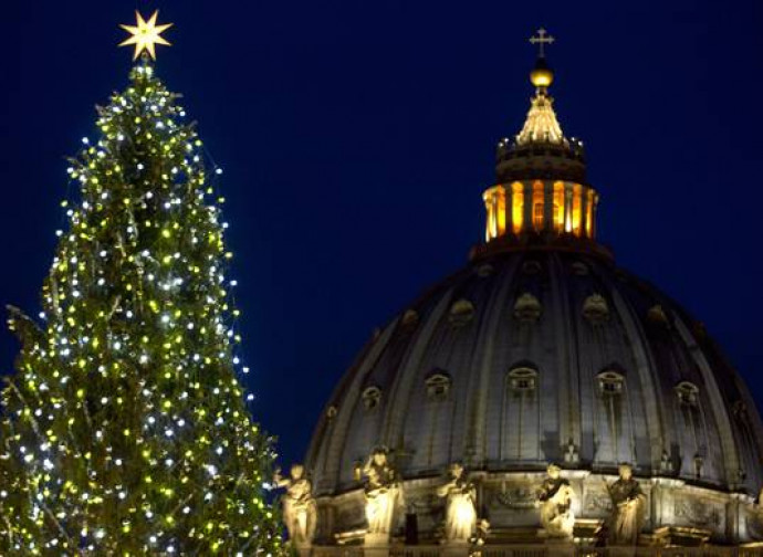 L'albero di Natale in piazza San Pietro L'albero di Natale in piazza San Pietro