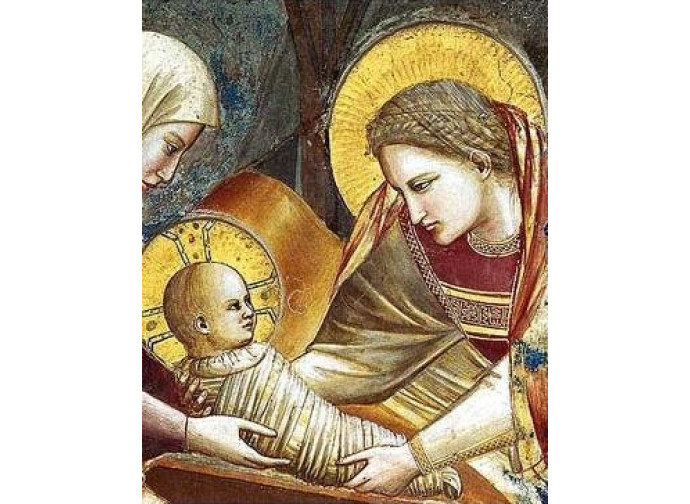 Natività Giotto Natività Giotto