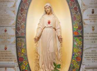 Madre di Misericordia, riconosciuti i frutti di Pellevoisin