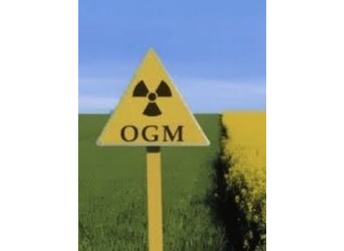 Attenti agli Ogm Attenti agli Ogm