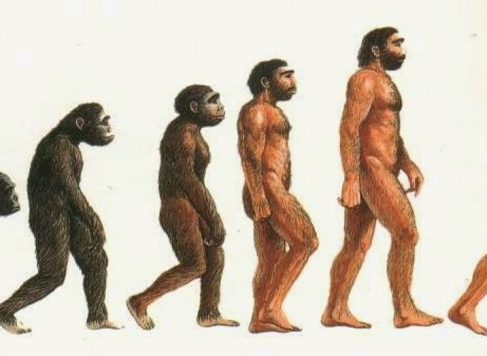 Evoluzione? Evoluzione?
