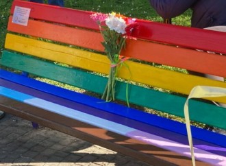 Un consigliere contro le panchine arcobaleno