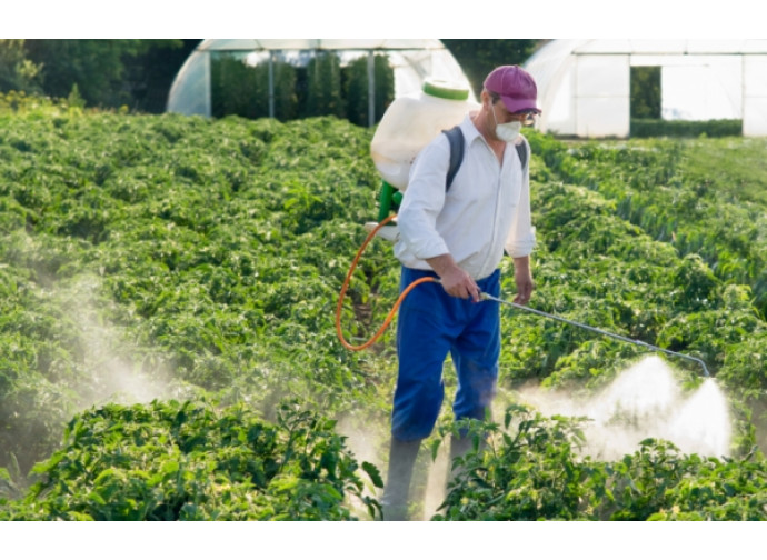 I pesticidi, alcuni tipi sono causa di sterilità