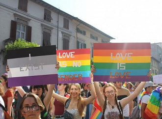 Fratelli d'Italia promuove l'utero in affitto?