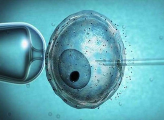 Utero in affitto: bene il Ddl per vietarlo, ma il problema è la Pma