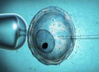 Un'altra ecatombe di embrioni. Ma il Parlamento pensa green