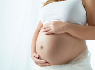 L’utero in affitto con gli occhi a mandorla