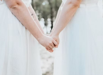 Virginia, in Costituzione le "nozze" gay