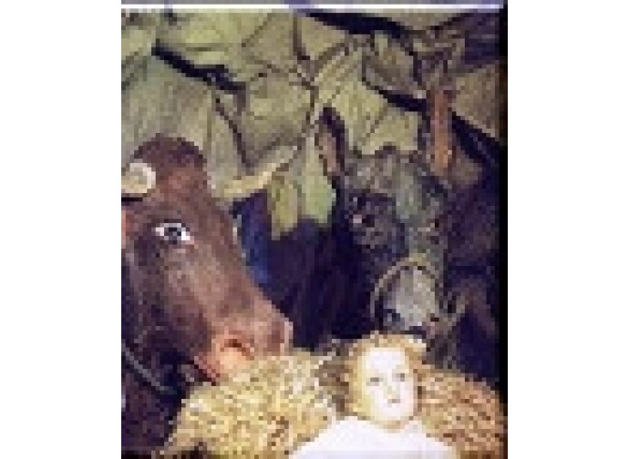 Presepe Presepe