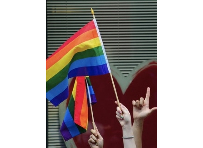 Che succederà dopo il voto irlandese sul matrimonio gay Che succederà dopo il voto irlandese sul matrimonio gay