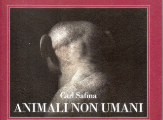 L’animalismo che avanza: i capodogli di Carl Safina