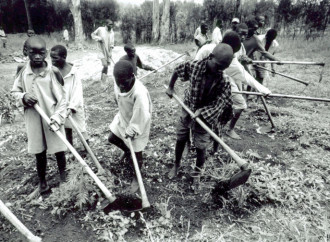 Non solo Namibia, gli altri genocidi in Africa