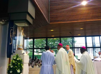 Il Movimento Sacerdotale Mariano e i 50 anni del Libro blu