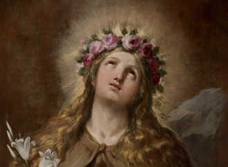 Santa Rosalia