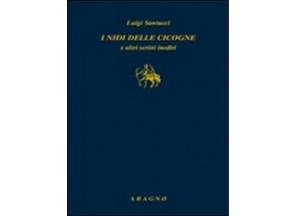 I nidi delle cicogne