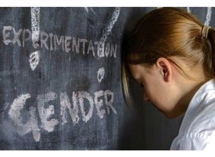 I pediatri americani denunciano l'abuso dei minori costretti a cambiare sesso I pediatri americani denunciano l'abuso dei minori costretti a cambiare sesso