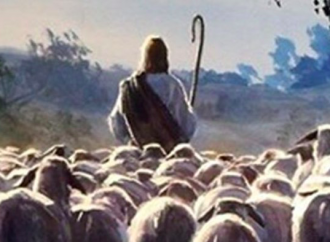 Se i pastori "escono" senza Gesù diventano pecore