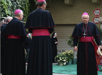 «Fedeli distanti dalle rivendicazioni del sinodo tedesco»