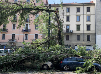 Se il "negazionismo" climatico diventa reato