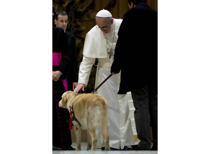 Il Papa accarezza un cane Il Papa accarezza un cane