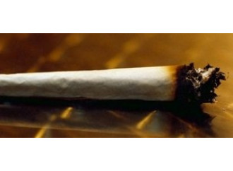 Cannabis a fin di bene?
Un disegno perverso