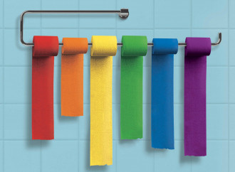 Illinois, una causa contro l'accesso dei trans nei WC delle donne