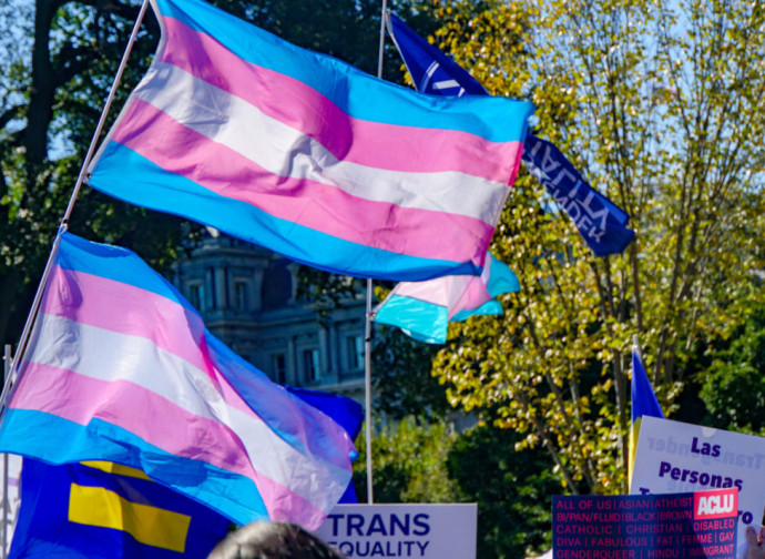 Bandiere transgender Bandiere transgender