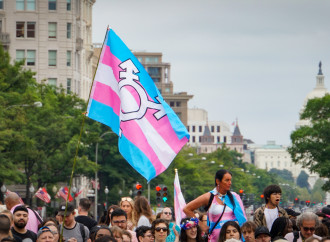 Lo psicologo che non può studiare i casi di trans pentiti